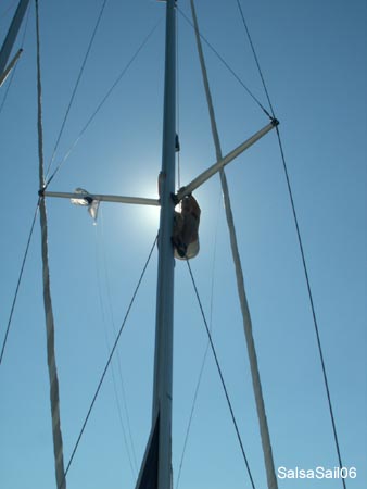 sail290