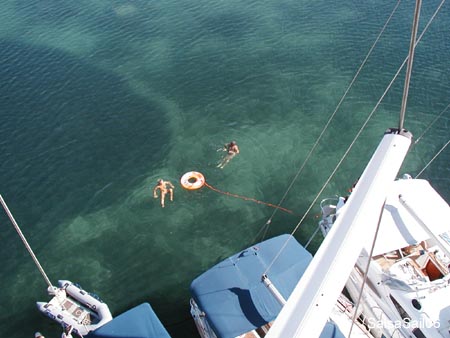 sail390