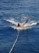 sail154