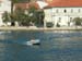 sail273