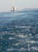 sail284