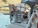 sail292