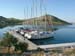 sail337