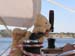sail366