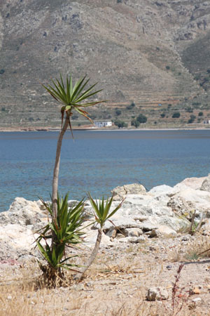 grecia48